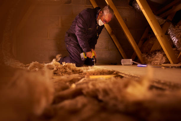 Best Insulation Replacement Services  in Perham, MN